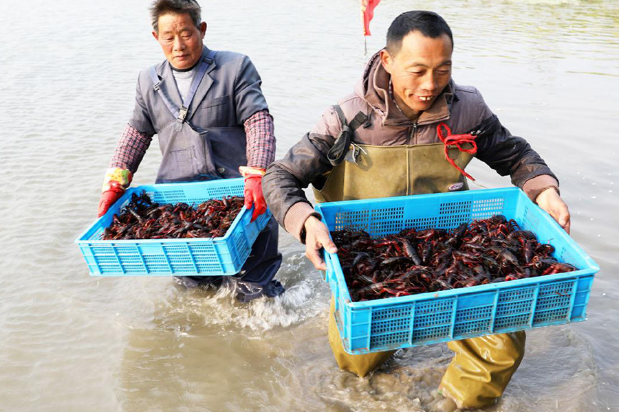 微信图片_20210820144245.png