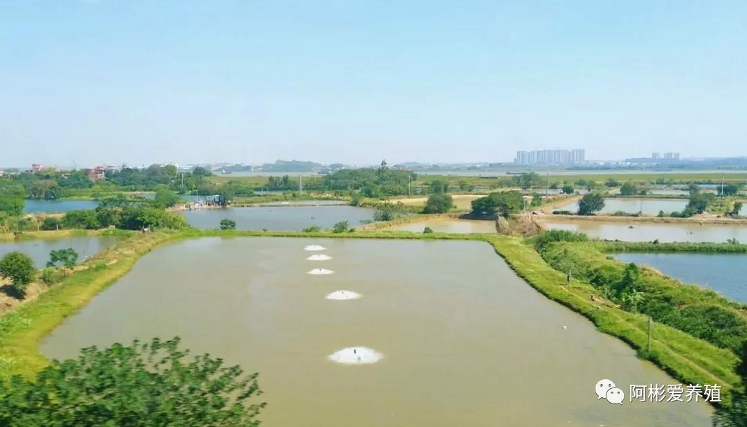 微信图片_20210901094039.jpg