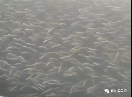 微信图片_20210902104945.jpg