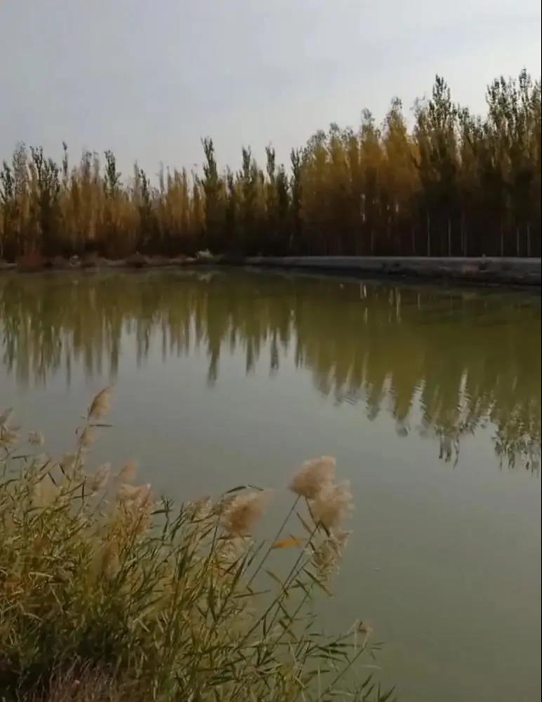 微信图片_20210907142912.jpg
