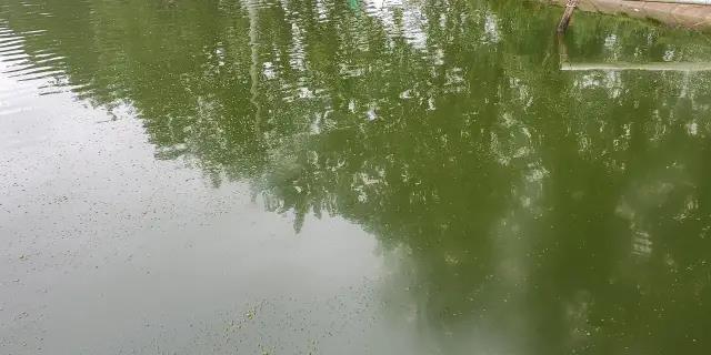微信图片_20210909090851.jpg