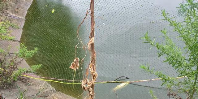 微信图片_20210909090916.jpg