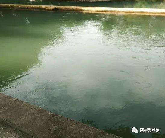 微信图片_20210909093509.jpg