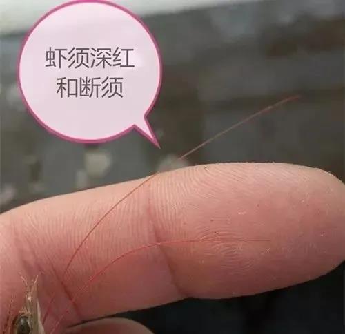 微信图片_20210909101114.jpg