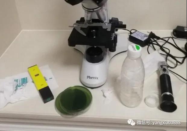 （上图显微镜、盐度计、弧菌培养基）.jpg