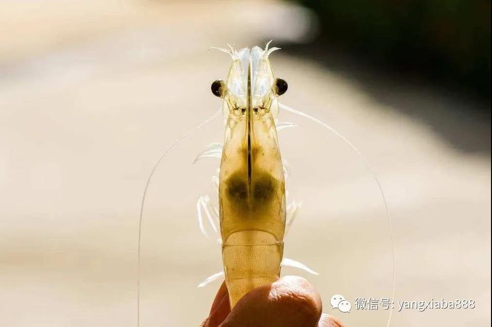 微信图片_20210915102805.jpg
