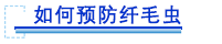如何预防纤毛虫.png