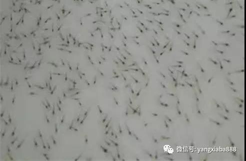 微信图片_20210922145507.jpg