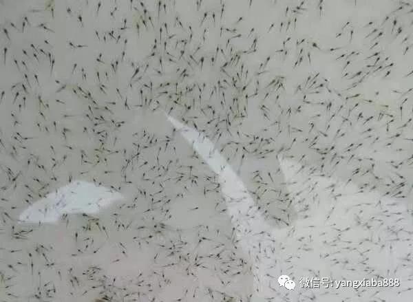 微信图片_20210922145447.jpg