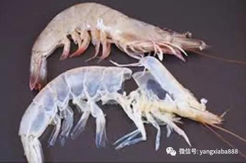 微信图片_20210926100708.jpg