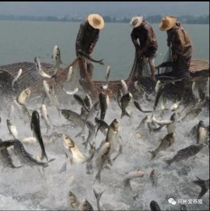 微信图片_20210926105010.jpg