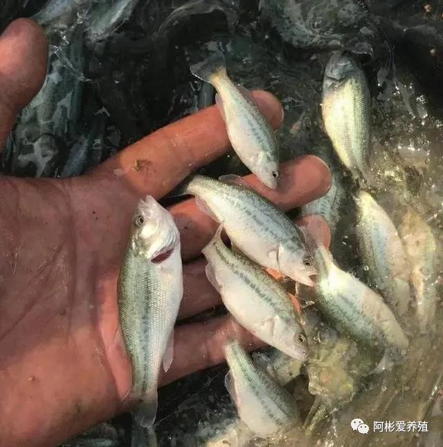 微信图片_20211014104117.jpg