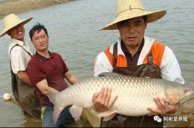 微信图片_20211014111121.jpg