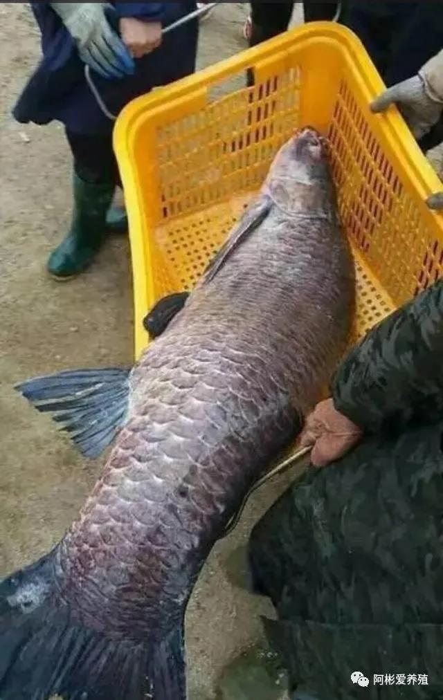 微信图片_20211026101424.jpg