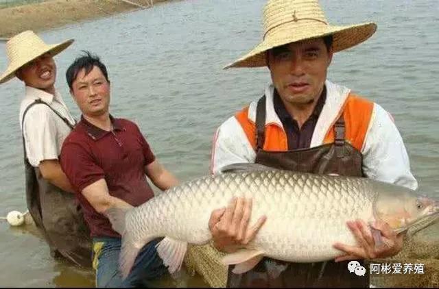 微信图片_20211026101429.jpg