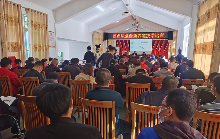 草鱼绿色健康养殖技术培训现场.jpg