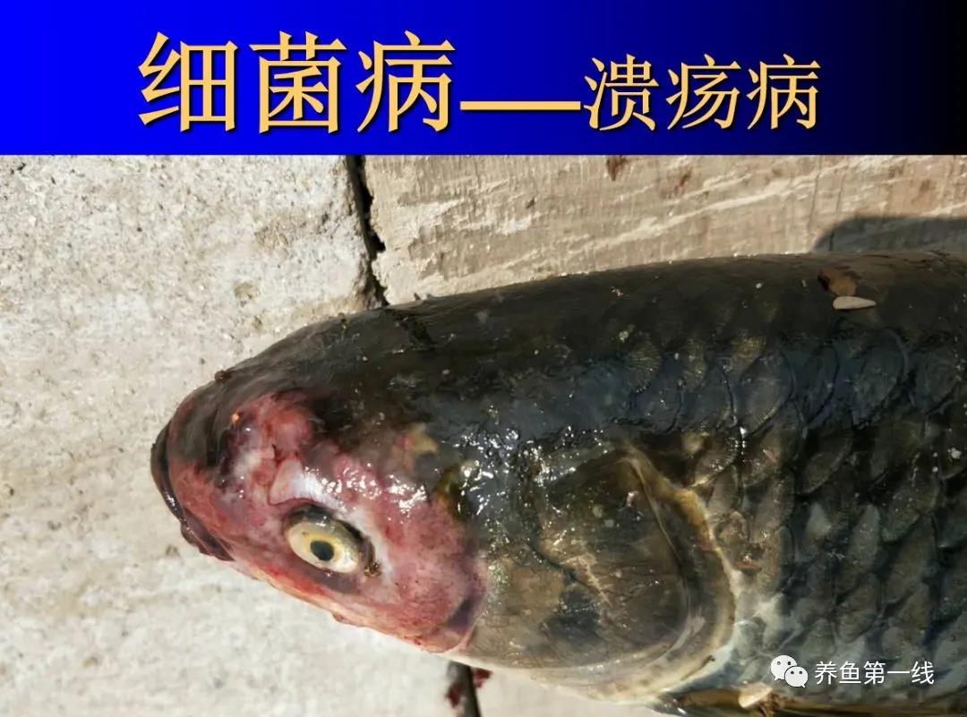 微信图片_20220215135356.jpg