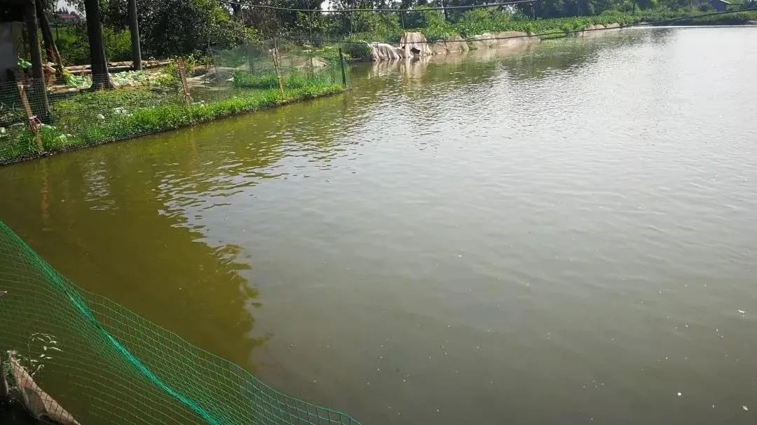 微信图片_20220215145557.jpg