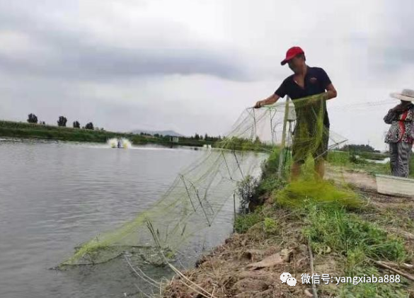 微信图片_20220225135912.png