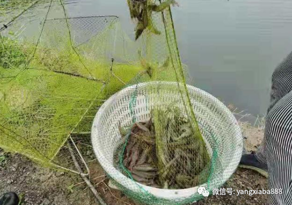 微信图片_20220225135916.png