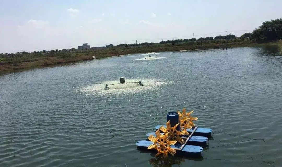 微信图片_20220309160629.jpg