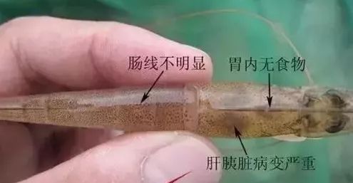 微信图片_20220325143653.jpg