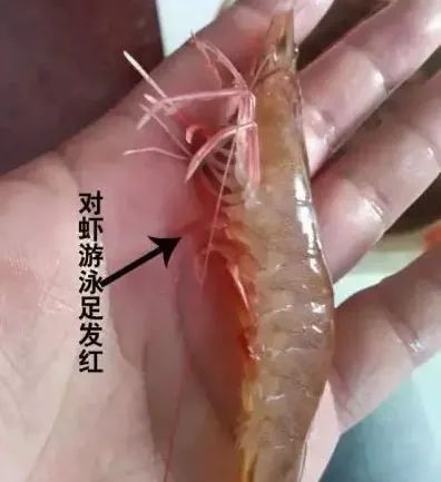 微信图片_20220325143658.jpg