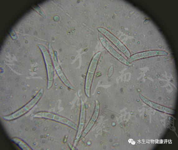微信图片_20220510091900.png