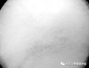 微信图片_20220510091910.png