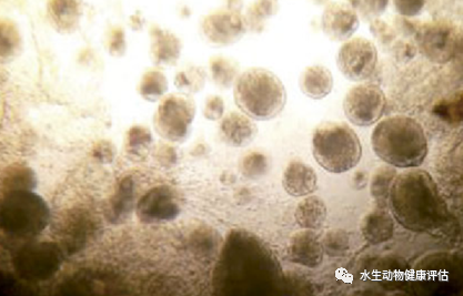 微信图片_20220510135005.png