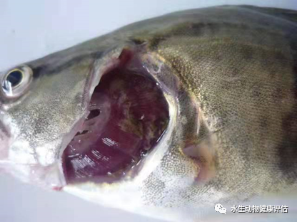 微信图片_20220510135012.png