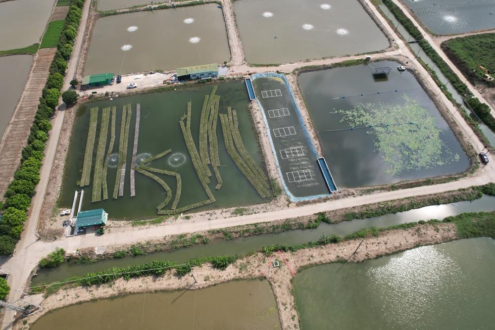 俯瞰“稻香围”.jpg