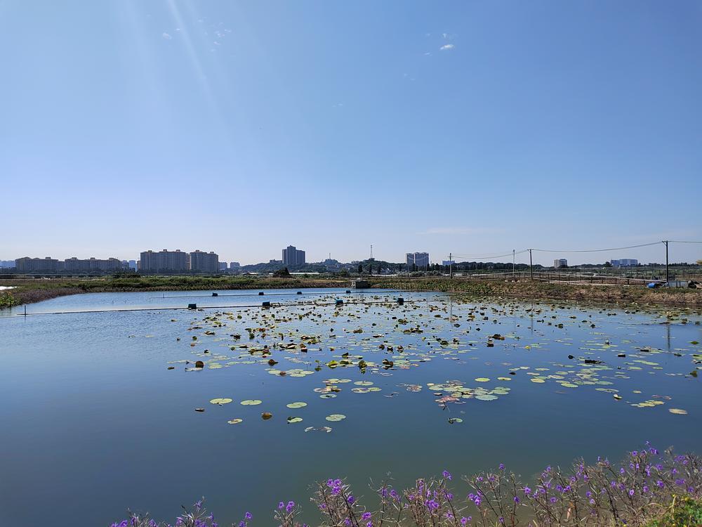沉淀池3.jpg