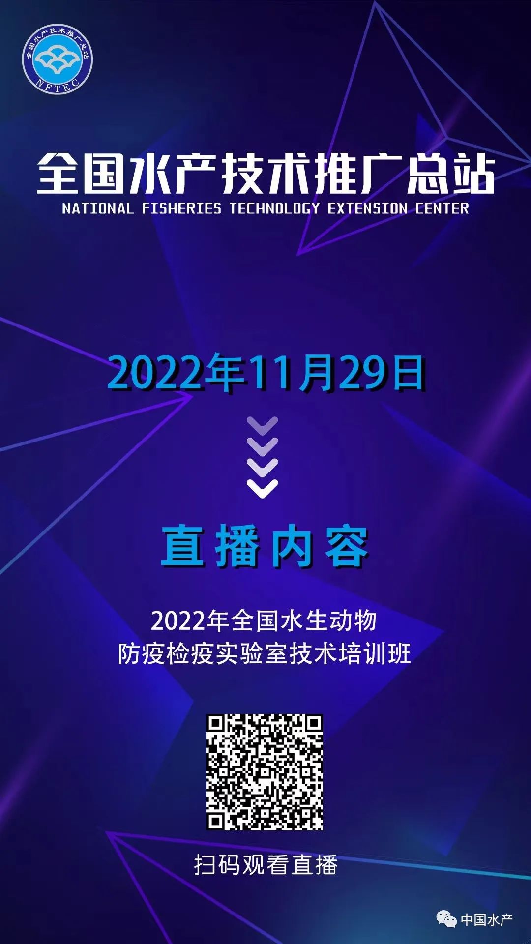 1669683982979552.jpg