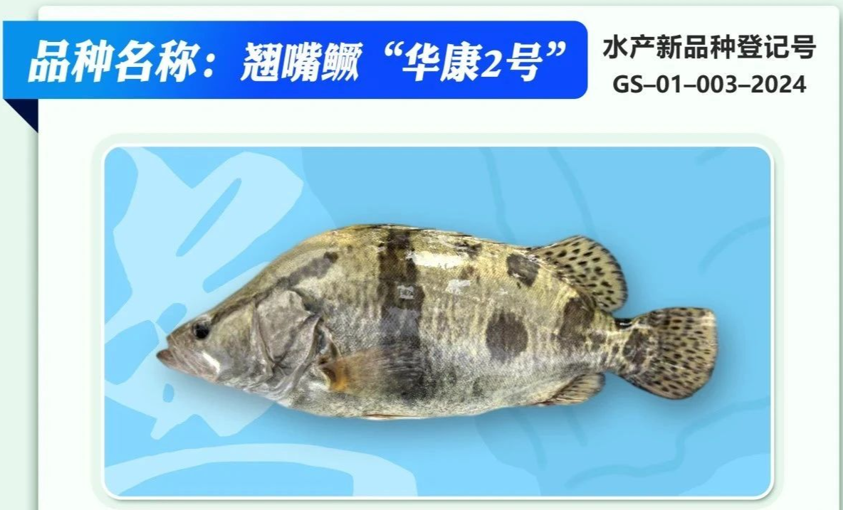 ce42b2977534d12b66affc904d4a08af.png