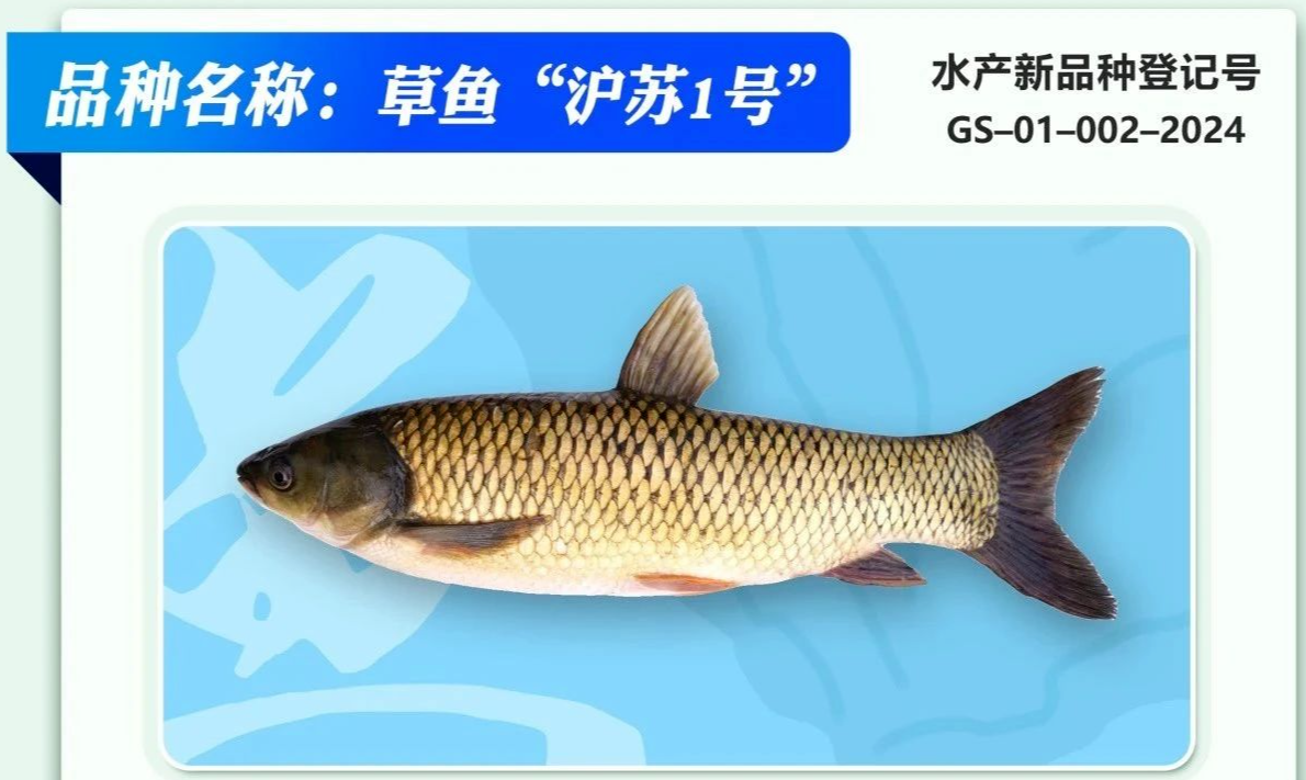 ae6dd614e20bb849e2c322242b1a15ed.png
