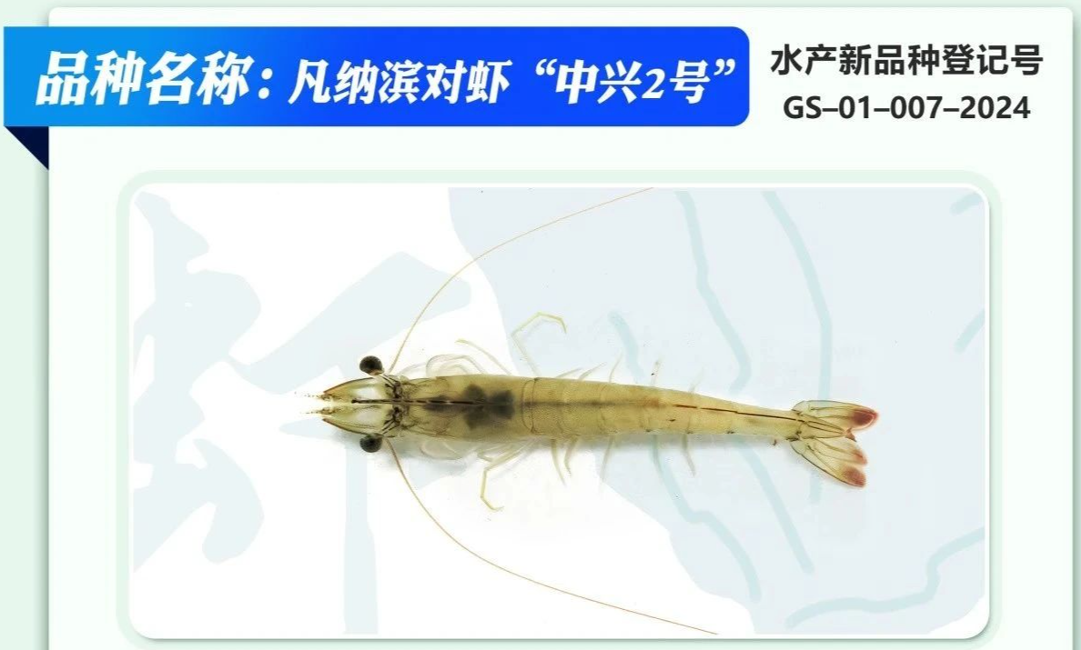 26cd66a19adea8cea48e16ca05b168cb.png