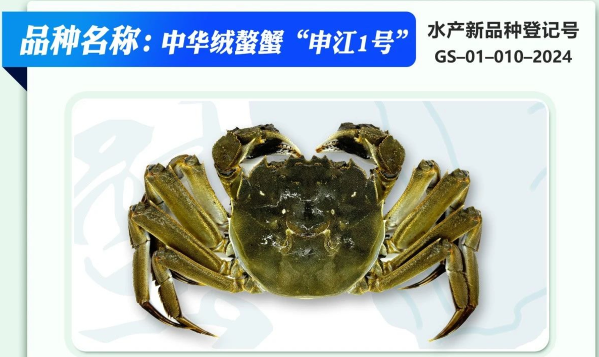 1b2f476e5f16aa4acfb48800878da60f.png