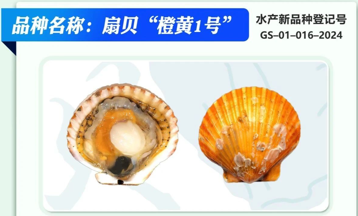 aa995acc01c51370feb1fbcc6010e137.png