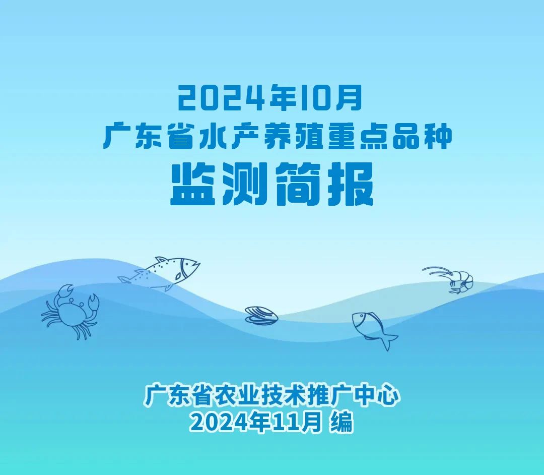 115cdbbe4996a5a94bcfb259164d3712.jpg