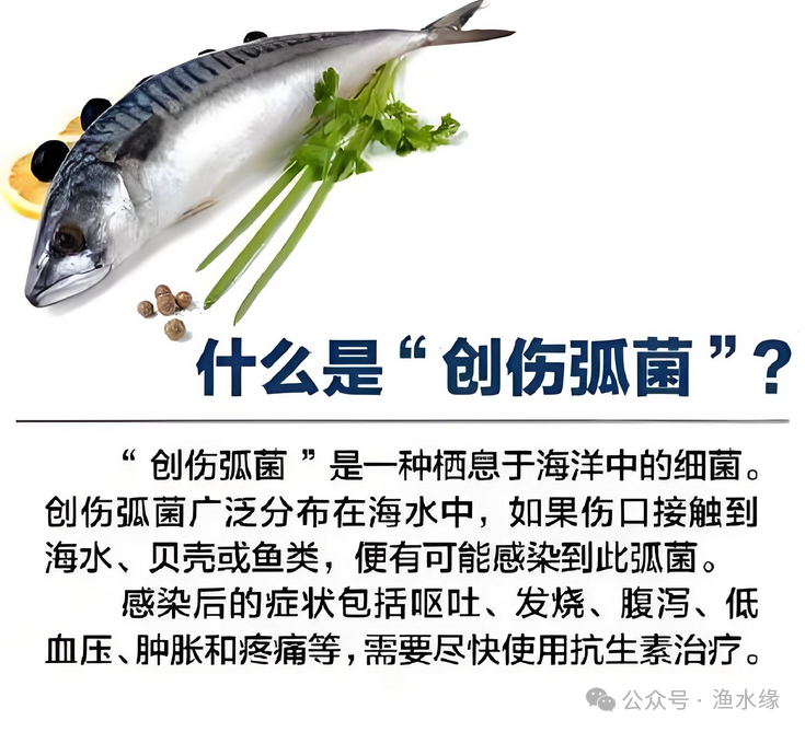 5c18dd1986a0855d9011e90abe4f6686.png
