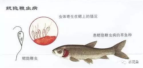 d07e38b7a4e43cbf77b5904d89691f75.jpg