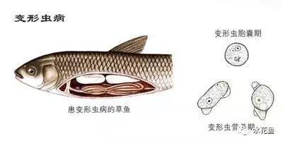 cb41ec8ce479945b1fcc8fa7cf9a19e9.jpg
