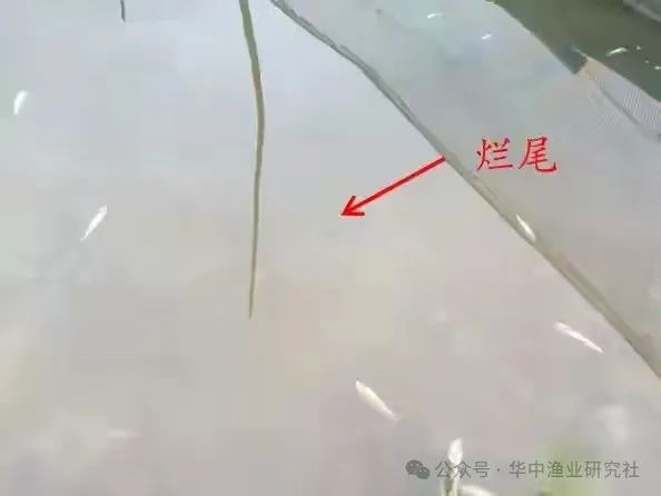 a012bf213ca6d65d7c79652a00b7b808.jpg