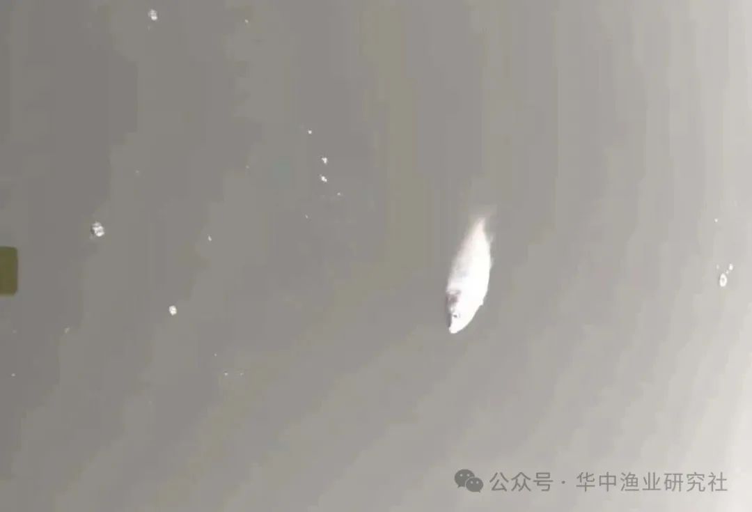 2bbbfd6528db001cb14db474e4e5c738.jpg