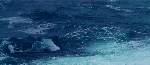 3.gif