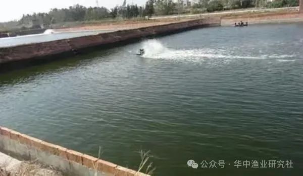 图5.jpg