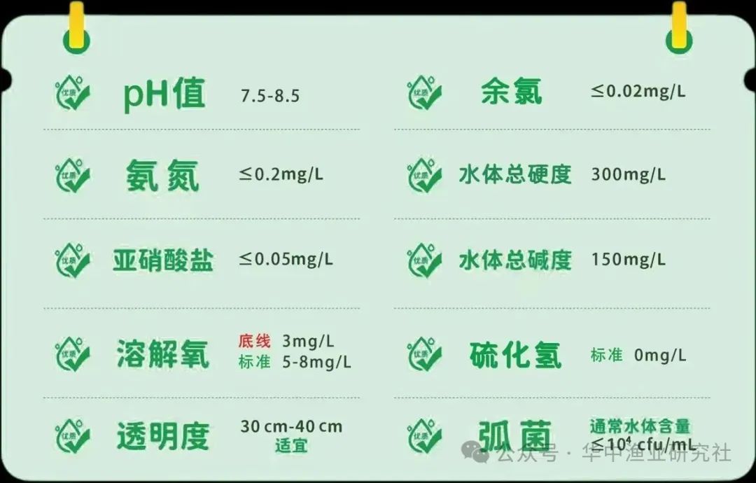 图7.jpg