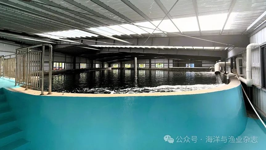 图4.jpg