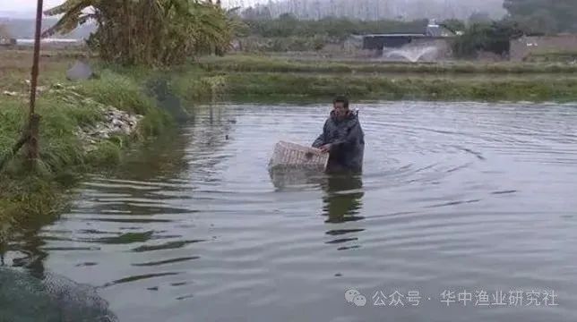 图2.jpg